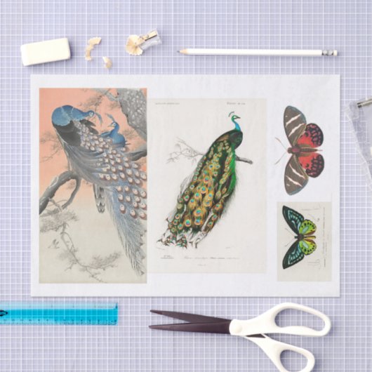 Pfau- und Schmetterlingsdekap Seidenpapier (Handwerk)