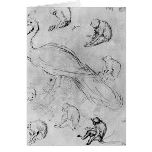 Pfau und sechs Affen