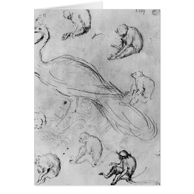 Pfau und sechs Affen (Vorne)