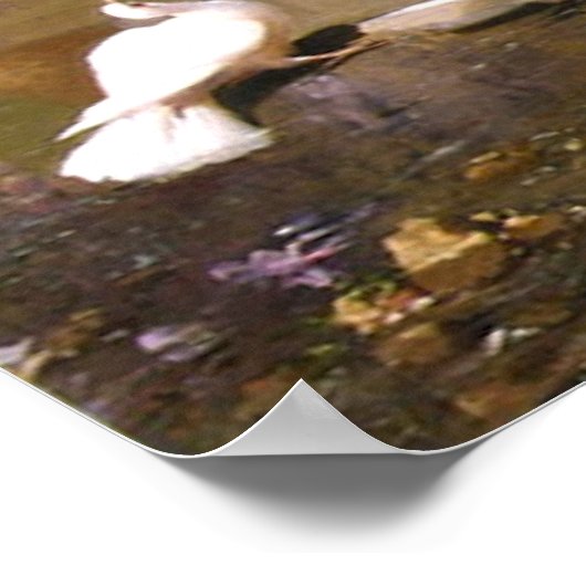 Pfau und Tauben im Garten Poster (Ecke)