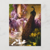 Pfau und Tauben im Garten Postkarte (Vorderseite)