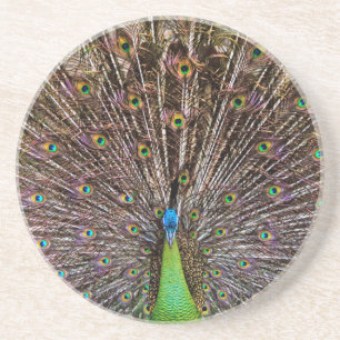 Pfau Untersetzer