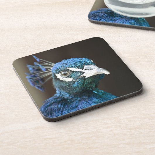 Pfau Untersetzer (Linke Seite)