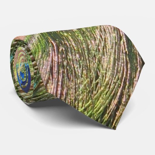 Pfau versieht die Krawatte der Männer mit Federn (Gerollt)