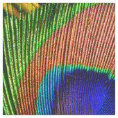 Pfau versieht Gewohnheit 6B mit Federn Stoff (Nahaufnahme)