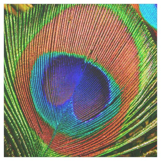 Pfau versieht Gewohnheit 6B mit Federn Stoff (Muster)