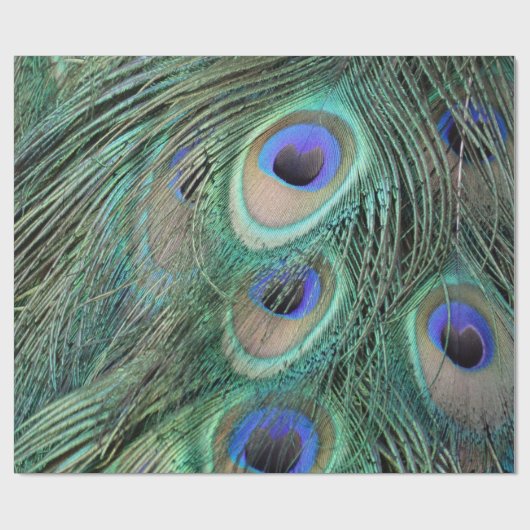 Pfau versieht große blaue Augen mit Federn Geschenkpapier (Flach)