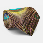 Pfau versieht Krawatte mit Federn (Gerollt)