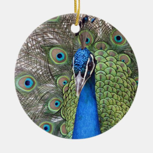 Pfau-Verzierung Keramik Ornament (Vorne)