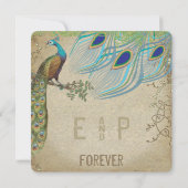 Pfau Vintag 3 Federn Altes Papier Einladung (Rückseite)