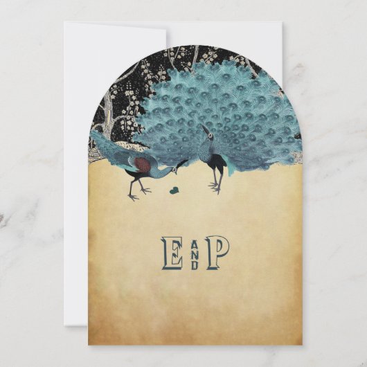 Pfau Vintage Federn mit Pfauen Einladung (Rückseite)