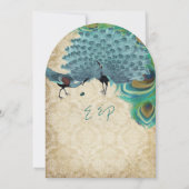 Pfau Vintage Federn mit Pfauen Einladung (Rückseite)