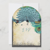 Pfau Vintager Federwirbelrand Einladung (Rückseite)