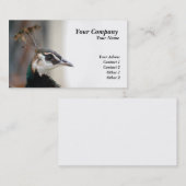 Pfau Visitenkarte (Vorne/Hinten)