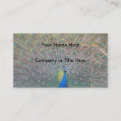 Pfau Visitenkarte (Rückseite)