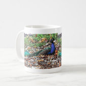 Pfau-Vogel-Feder-Tier-Tiere Kaffeetasse (Vorderseite Links)