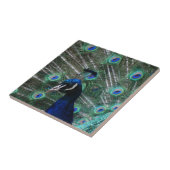 Pfau-Vogel-Fliese Fliese (Seite)