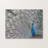 Pfau-Vogel-Puzzlespiel Puzzle (Horizontal)