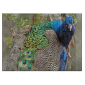 Pfau-Vogel-Schneidebrett Schneidebrett (Vorderseite)