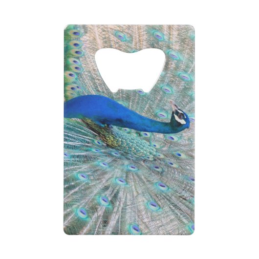 Pfau, Vogel, Tier Geldbeutel Flaschenöffner (Vorderseite)