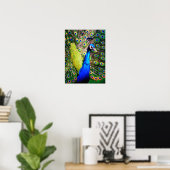 Pfau von Liebe_Poster Poster (Heimbüro)