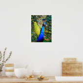Pfau von Liebe_Poster Poster (Küche)