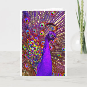 Pfau von Million Farben Karte
