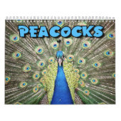 Pfau-Wandkalender Kalender (Titelbild)