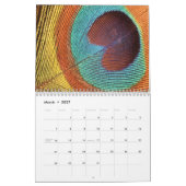 Pfau-Wandkalender Kalender (Mär 2027)