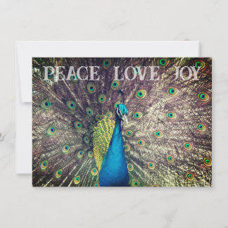 Pfau-Weihnachtskarte Karte