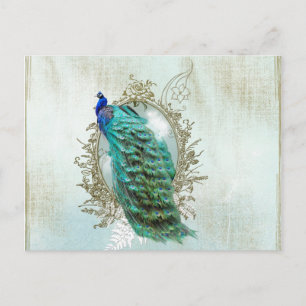 Pfau wunderschön türkis vintage shabby Vogel Postkarte