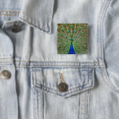 Pfau zeigt seine Federn Button (Beispiel)