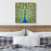 Pfau zeigt seine Federn Leinwanddruck (Insitu (Schlafzimmer))