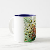 Pfau Zweifarbige Tasse (Vorderseite Links)