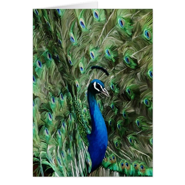 Pfauanmerkungssorgfalt (Vorne)