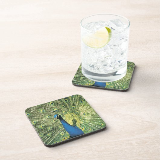 Pfauanzeigen Untersetzer (Rechte Seite)