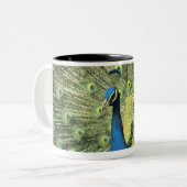 Pfauanzeigen Zweifarbige Tasse (Vorderseite Links)