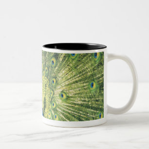 Pfauanzeigen Zweifarbige Tasse