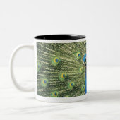 Pfauanzeigen Zweifarbige Tasse (Links)