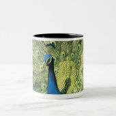 Pfauanzeigen Zweifarbige Tasse (Mittel)