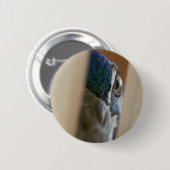 Pfauauge durch hölzerne Torlatten Button (Vorne & Hinten)