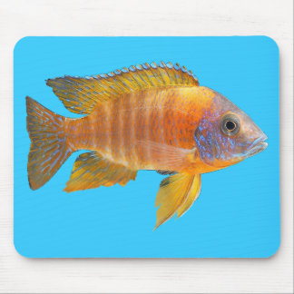 PfauCichlid Mousepad