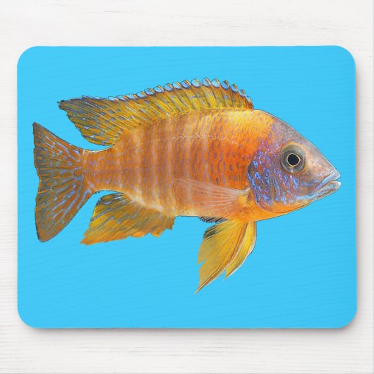 PfauCichlid Mousepad (Vorne)