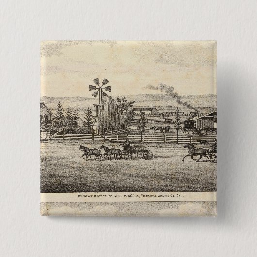 Pfaue, Willow Glen Button (Vorderseite)