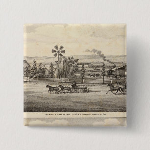 Pfaue, Willow Glen Button