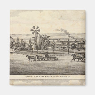 Pfaue, Willow Glen Magnet