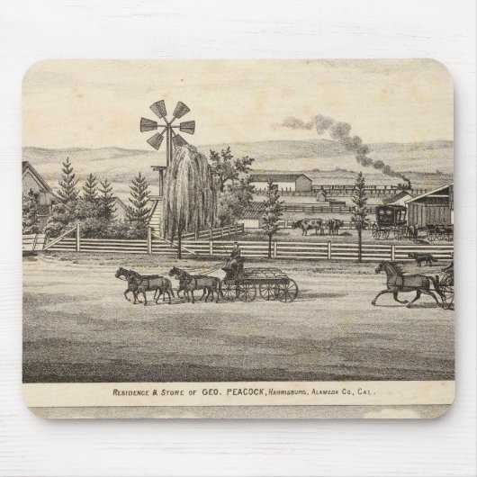 Pfaue, Willow Glen Mousepad (Vorne)