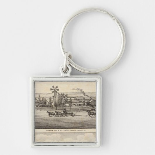 Pfaue, Willow Glen Schlüsselanhänger (Vorne)