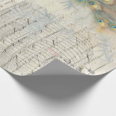 Pfauen-Ephemera-Decoupage-Papier Geschenkpapier (Ecke)