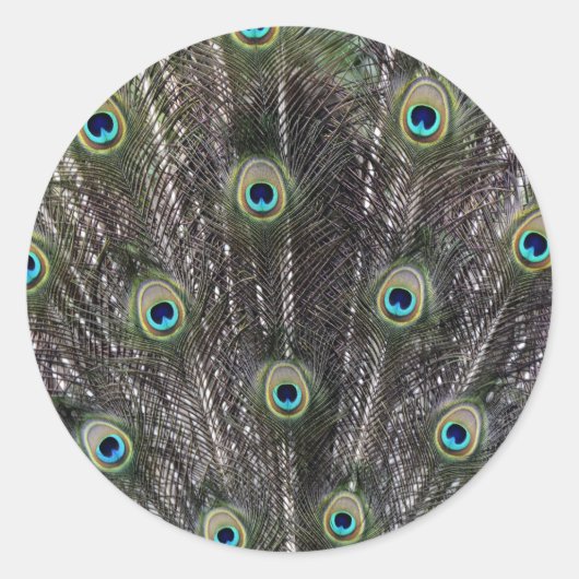 Pfauen Feathers Umschlag Aufkleber Stickers (Vorderseite)